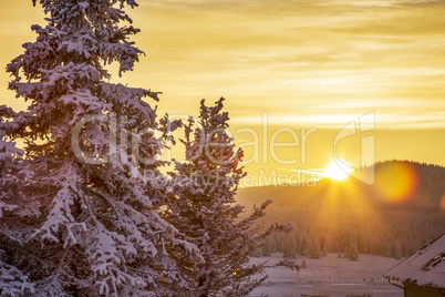 Dreamlike sunset with snowy winter forest