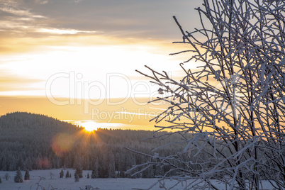 Dreamlike sunset with snowy winter forest