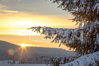 Dreamlike sunset with snowy winter forest
