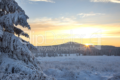 Dreamlike sunset with snowy winter forest