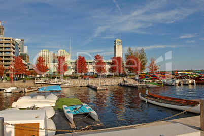 Red autumn trees on the yacht harbor.