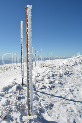 Frozen wooden pillars, vertical orientation