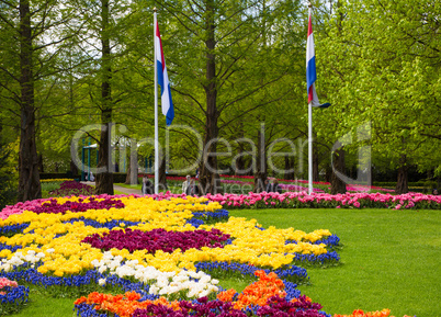 Colorful tulips in the Keukenhof garden, Holland