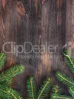 branch of green fir tree on wooden board background