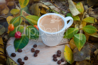 cup of hot coffee espresso among fallen leaves in sunshine