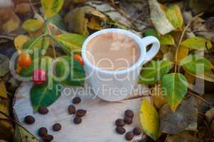 cup of hot coffee espresso among fallen leaves in sunshine