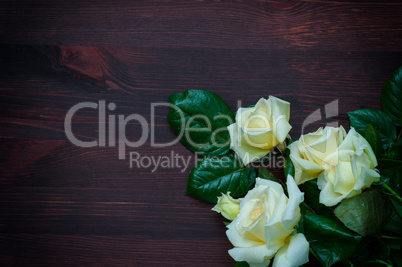 bouquet of white roses blooming on a brown wooden background