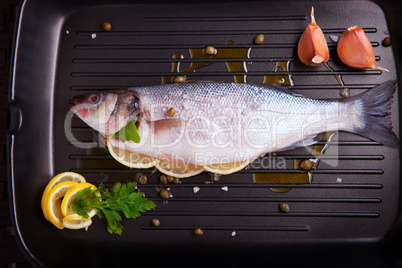 Sea bass with parsley