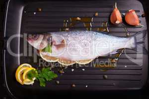 Sea bass with parsley