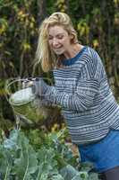 Middle Aged Woman Vegetable Gardening Watering Can