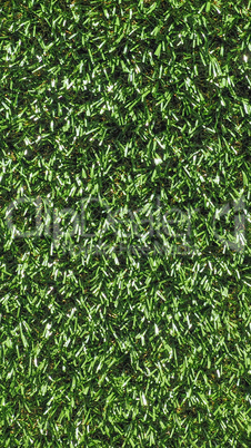 Artificial grass