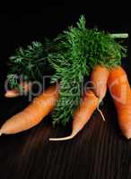 bundle of raw carrots