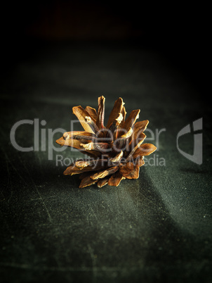 Pinecone on a scratched table