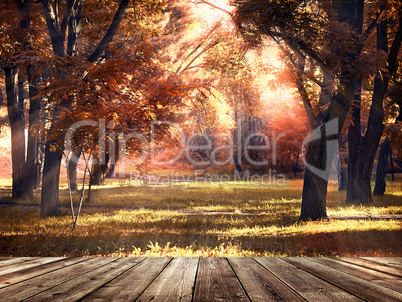 wooden podium, coming in autumn park