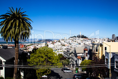 Coit Tower und Telegraph Hill