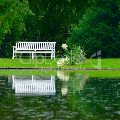 wooden bench on shore of picturesque lake
