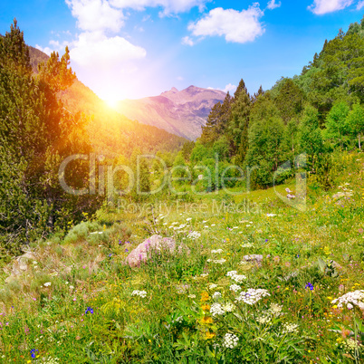 Beautiful sunrise in high mountains