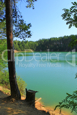 beautiful forest lake with pines