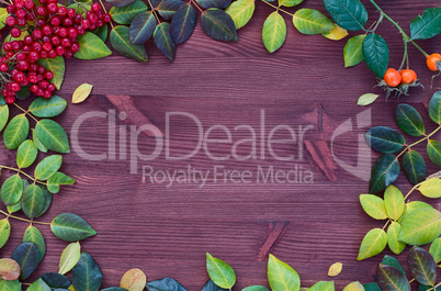 Wooden brown background with leaves and a branch of viburnum
