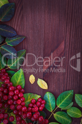 Wooden brown background with a branch of viburnum and leaves