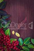 Wooden brown background with a branch of viburnum and leaves