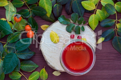 Fruit tea with a viburnumin a transparent checkers among fallen