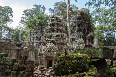 Ta PRohm Temple, Angkor, Siem Reap, Cambodia