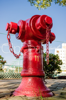 Fire hydrant in the street