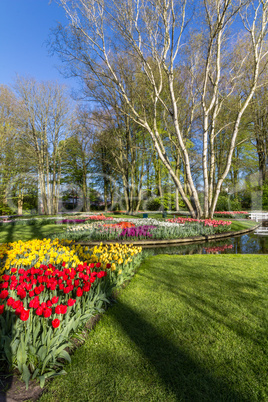 Keukenhof garden and its flowers during spring in Netherlands