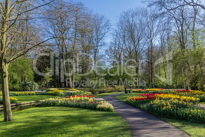 Keukenhof garden and its flowers during spring in Netherlands