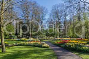 Keukenhof garden and its flowers during spring in Netherlands
