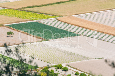 Verschiedene Felder auf Mallorca, Spanien