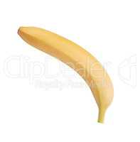 raw Yellow Banana Isolated