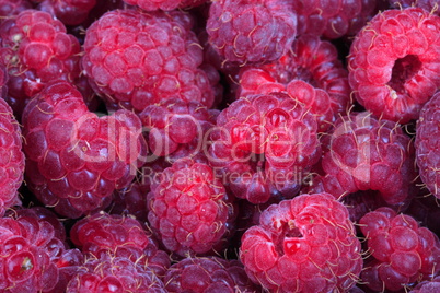 many raspberry at day