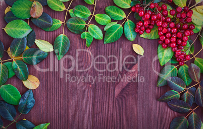 Viburnum branch and leaves on brown wooden surface