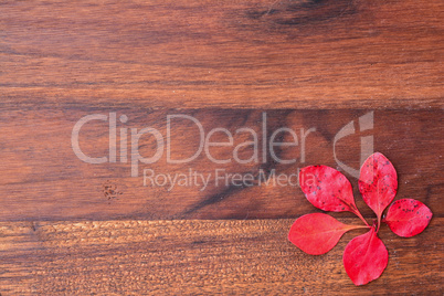 Wooden background with red leaves