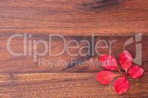 Wooden background with red leaves