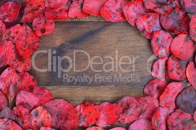 Wooden background with red leaves around