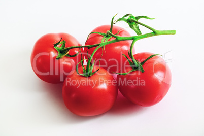 Fresh red tomatoes