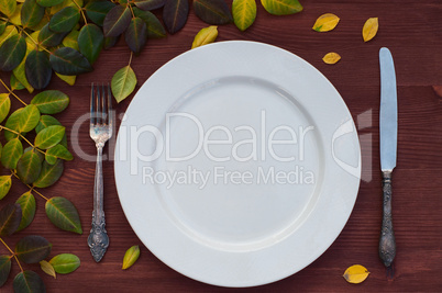 White plate on brown wooden surface among the leaves