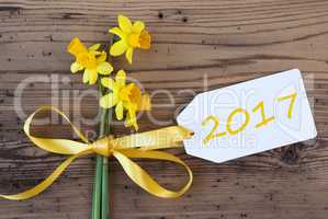 Yellow Spring Narcissus, Label, Text 2017