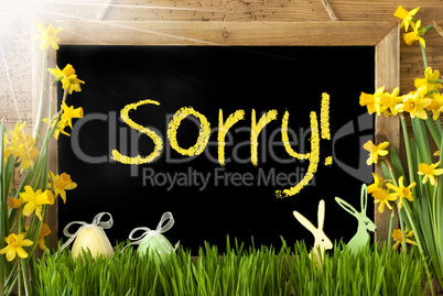 Sunny Narcissus, Easter Egg, Bunny, Yellow Text Sorry
