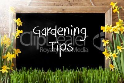 Sunny Spring Narcissus, Chalkboard, Text Gardening Tips