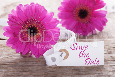 Pink Spring Gerbera, Label, Text Save The Date