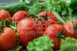 Healthy food. Photo of ripe tomatoes and lettuce
