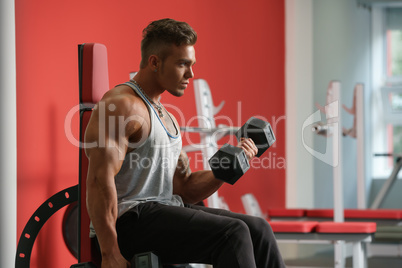 Handsome man training with dumbbells in gym