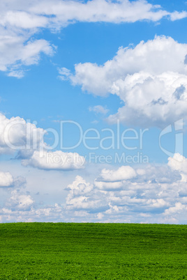 Beautiful green field with white clouds