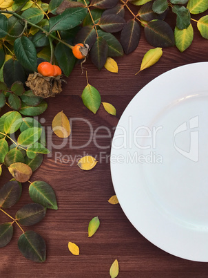 Half of an empty white plate on brown wooden surface