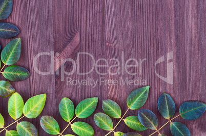 Wooden brown background with rose leaves