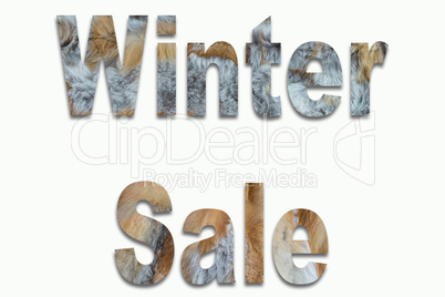 Rotfuchs Pelz im Wort Winter Sale